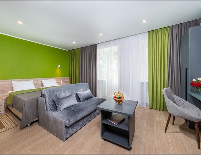 2-местный 1 комнатный с диваном корпус 9 - Санаторий «Анапа»